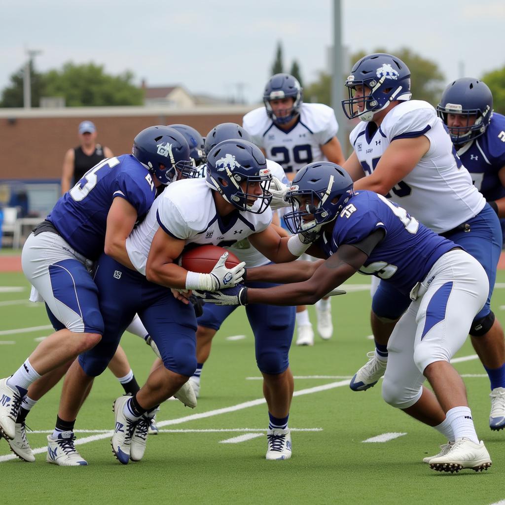 Bolles Football Team in Action During a Game