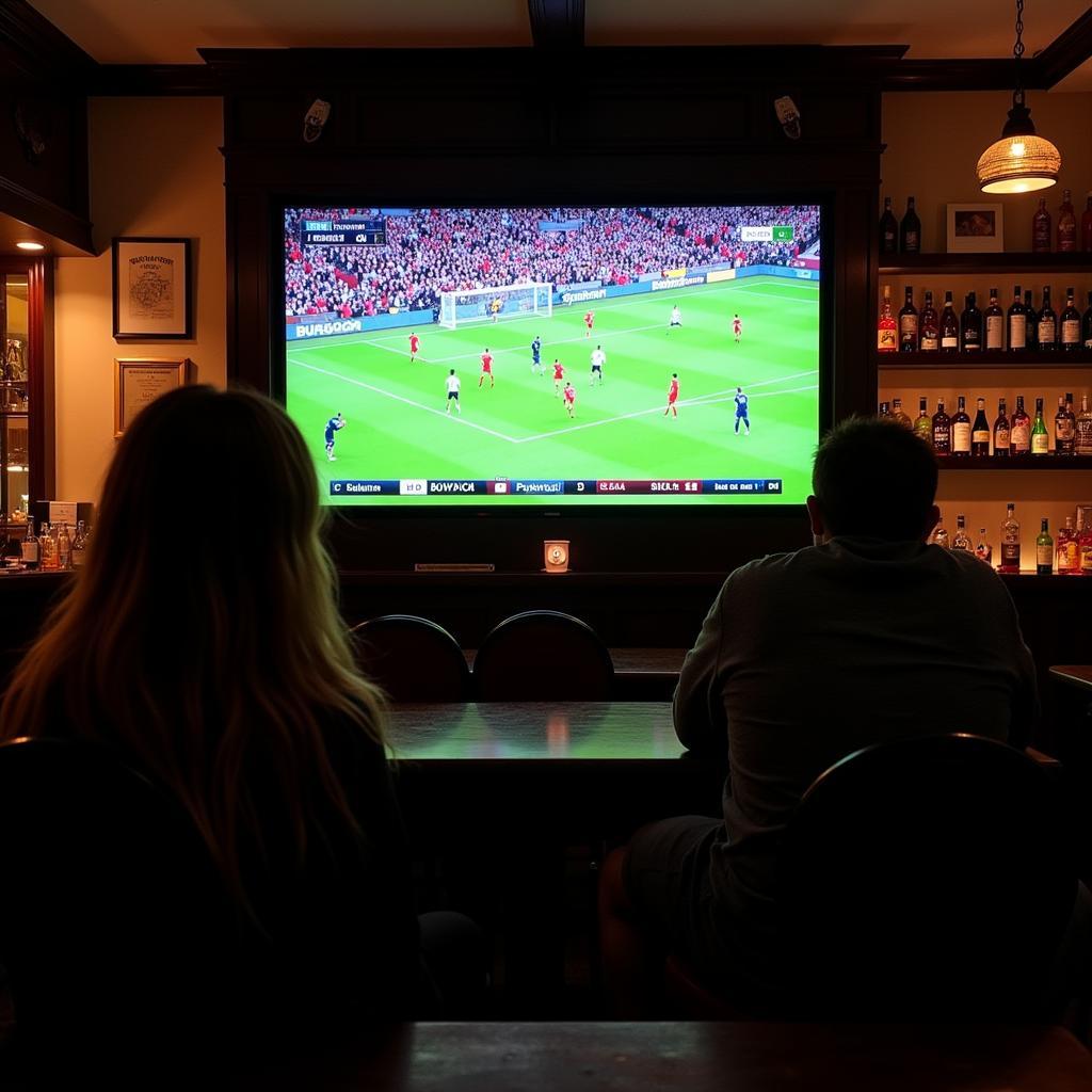 Botanic Inn Live Football Screen