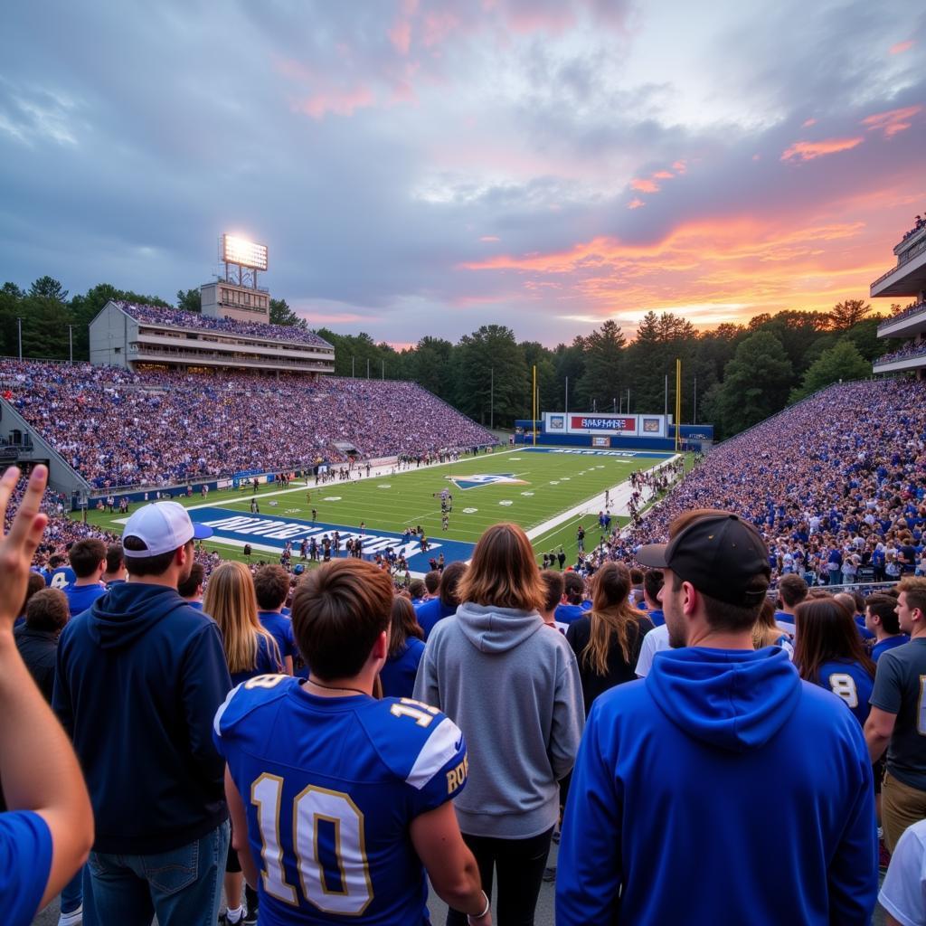 Brevard College football fans cheering enthusiastically in the stands during a live game.