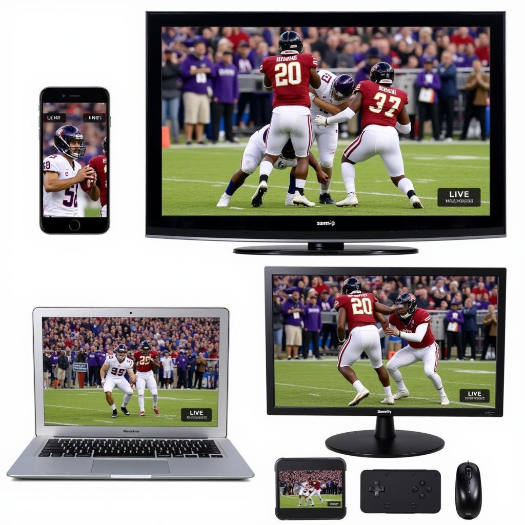 Bridgewater Football Live Stream On Multiple Devices