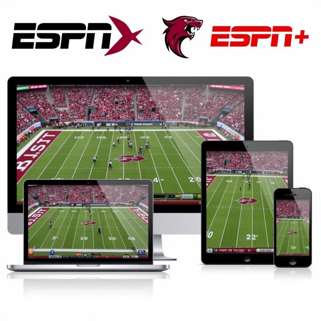 Bridgewater State Football Live Stream Options