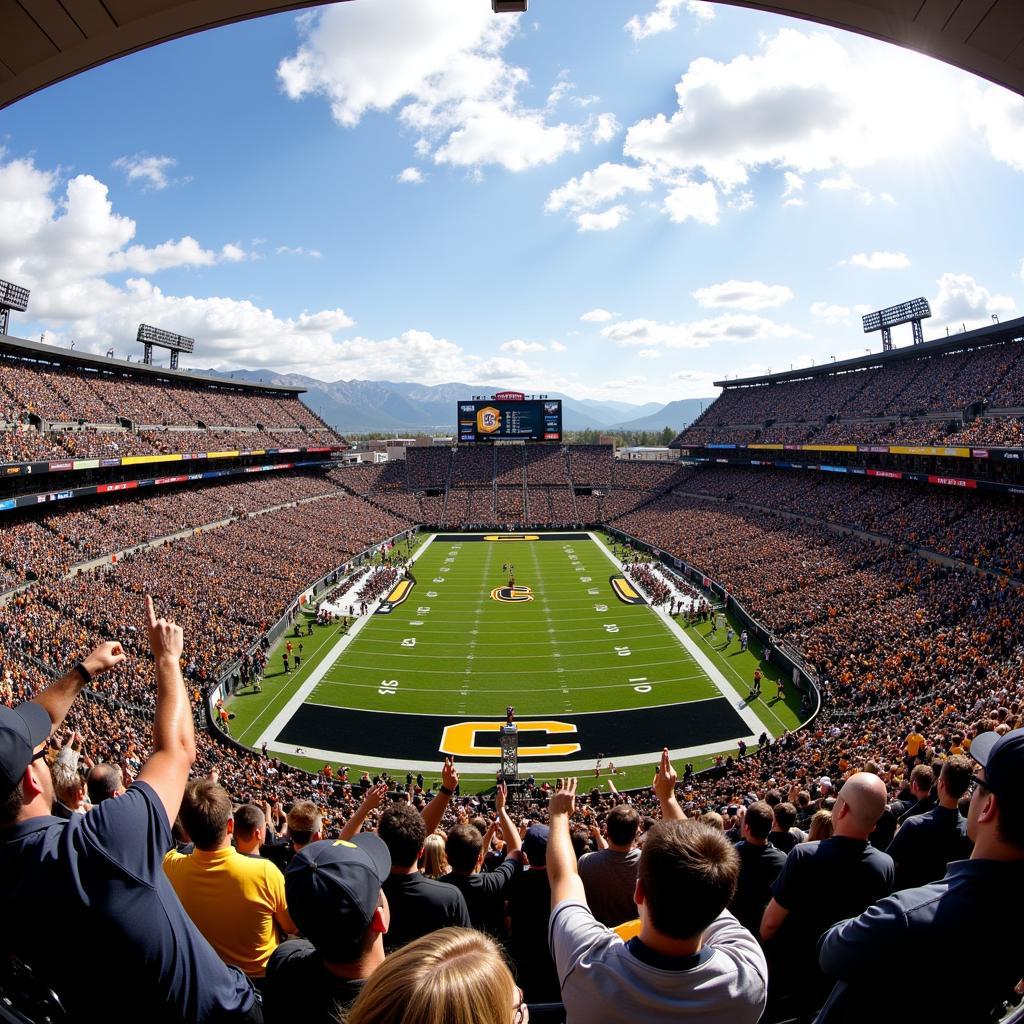 Buffs Football Fans Cheering in the Stands