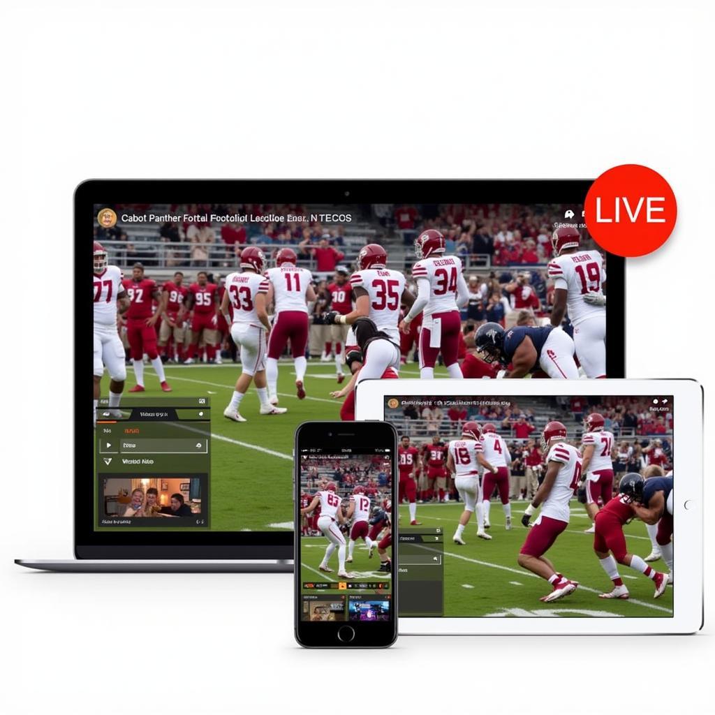 Cabot Panther Football Live Streaming Options