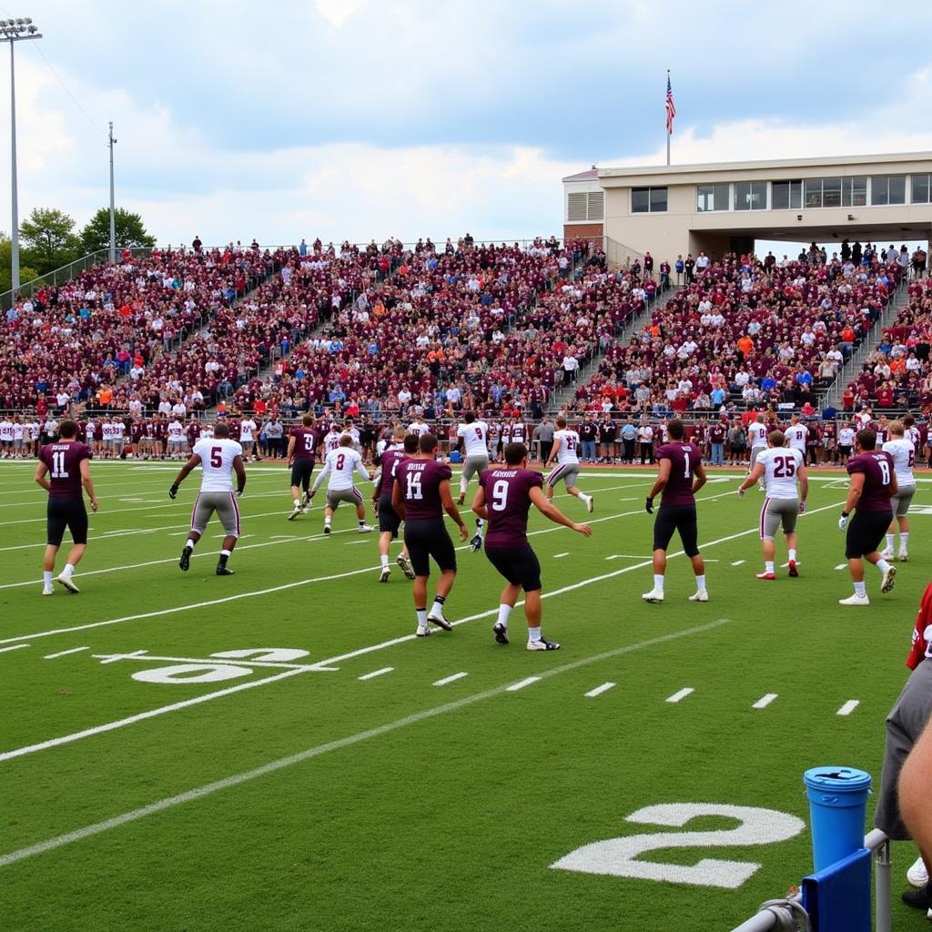 Live Action from a Campbellsville University Football Game