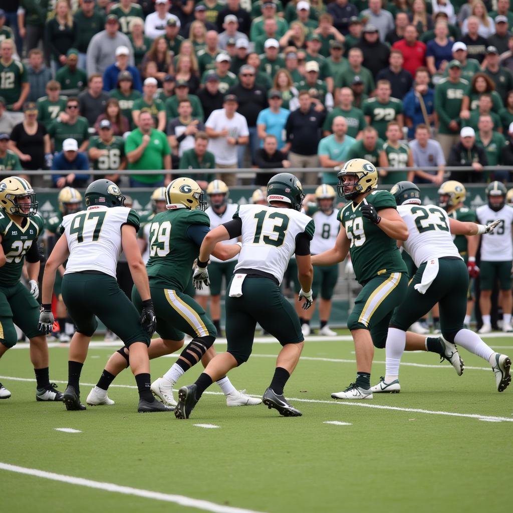 Chisago Lakes High School Football Game Action