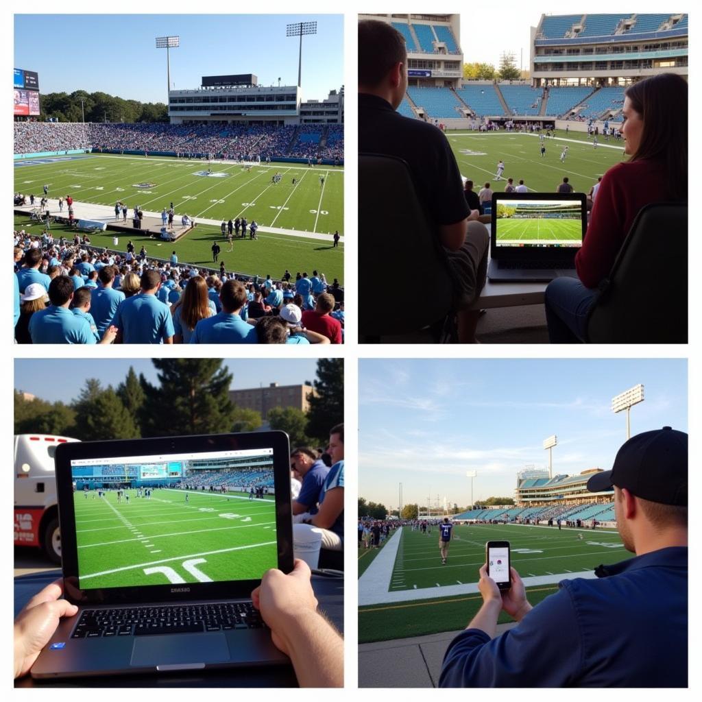 Coastal Carolina Football Fan Experience