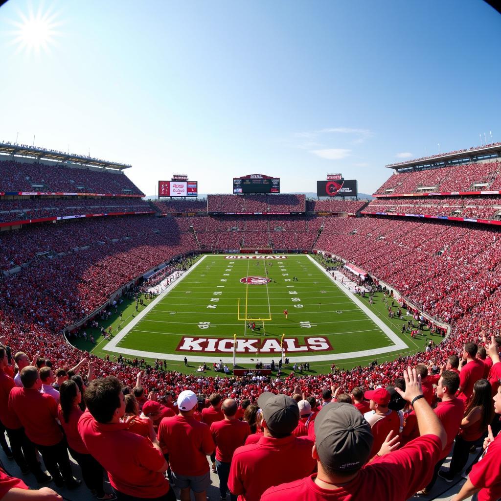 College Football Stadium Crowd