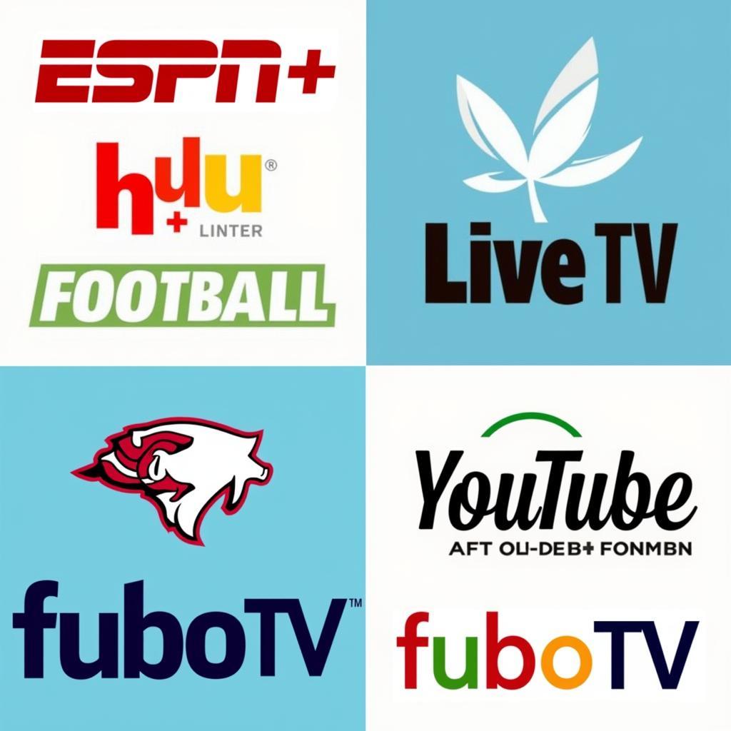 Various College Football Streaming Services