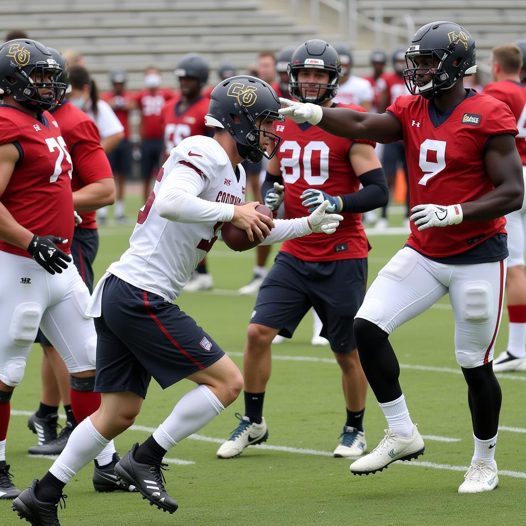 Colorado Football Players Training Hard