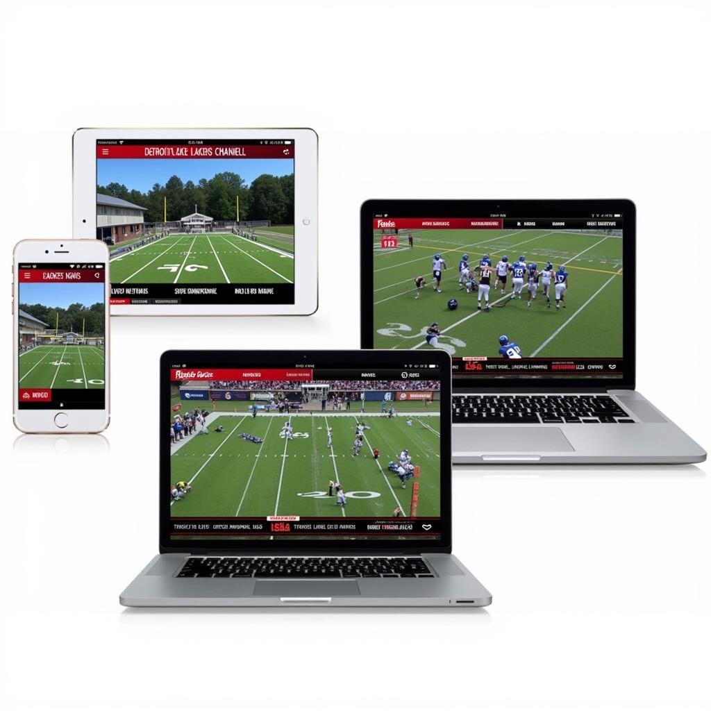 Detroit Lakes Lakers Football Live Stream Options