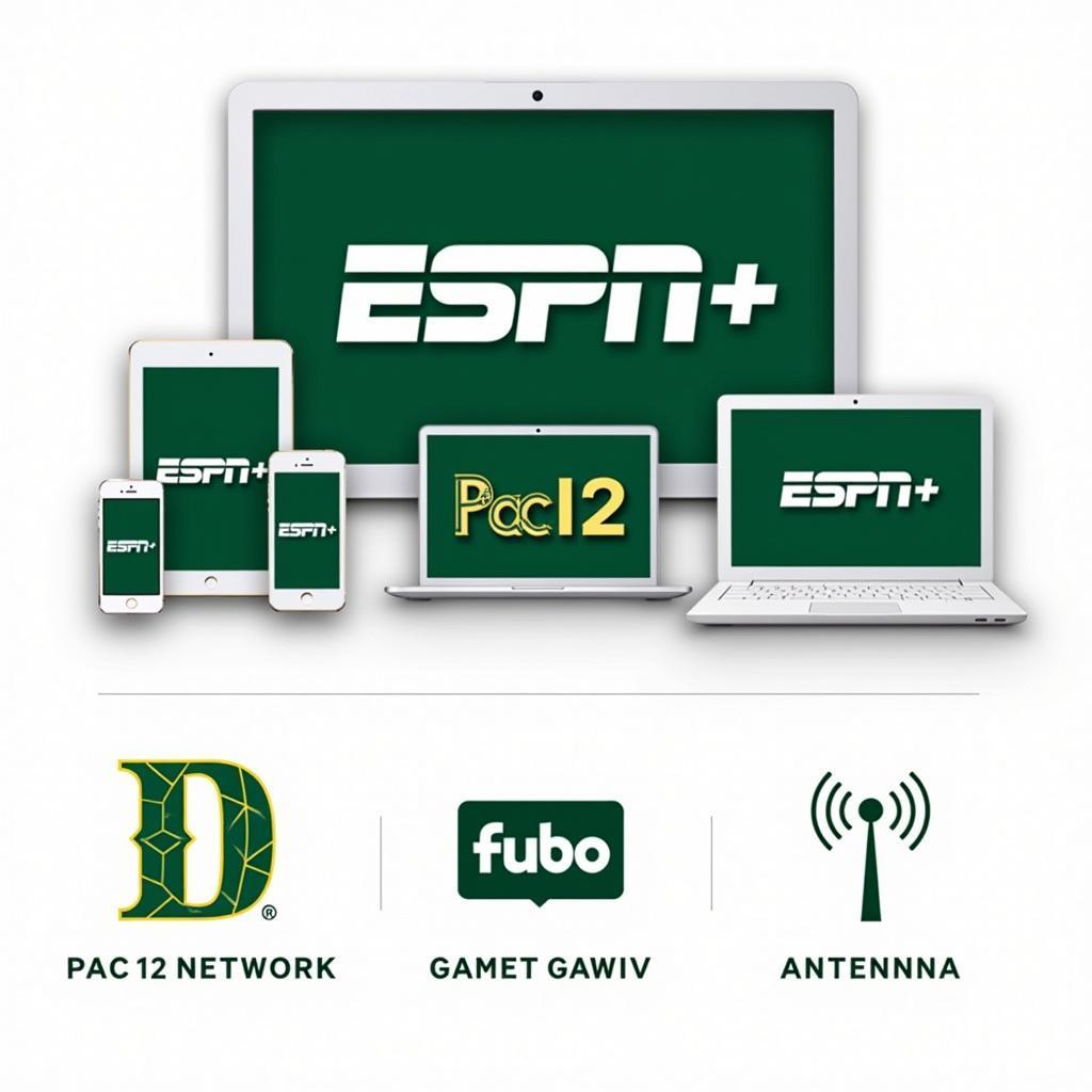 Ducks Football Live Stream Options