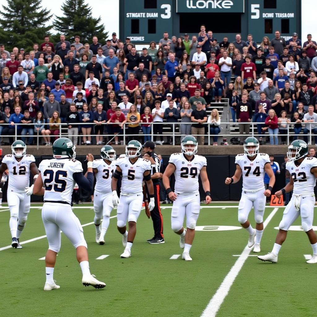 Edmonds Woodway football players celebrating a touchdown during a live game.