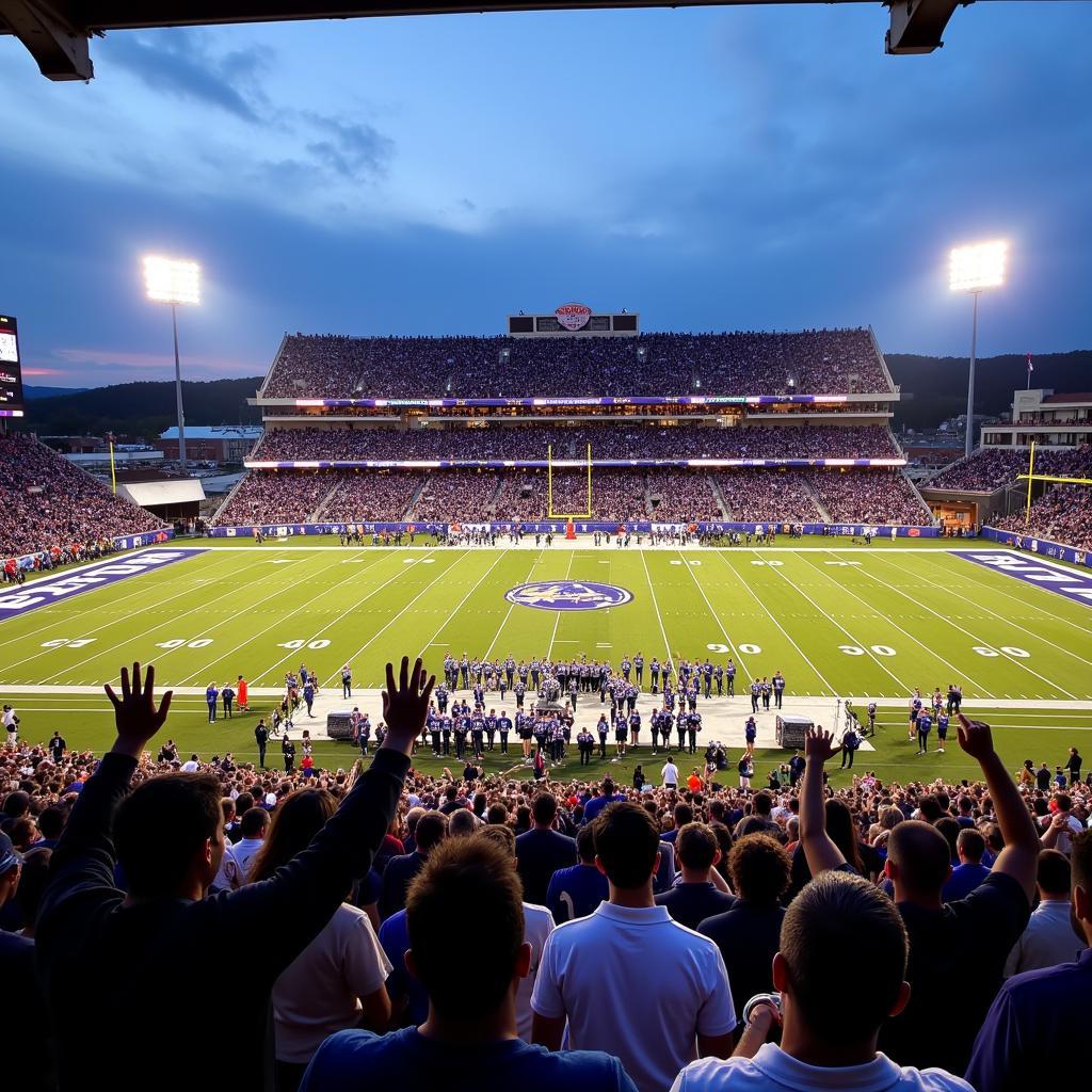 ETSU Football Game Live Atmosphere