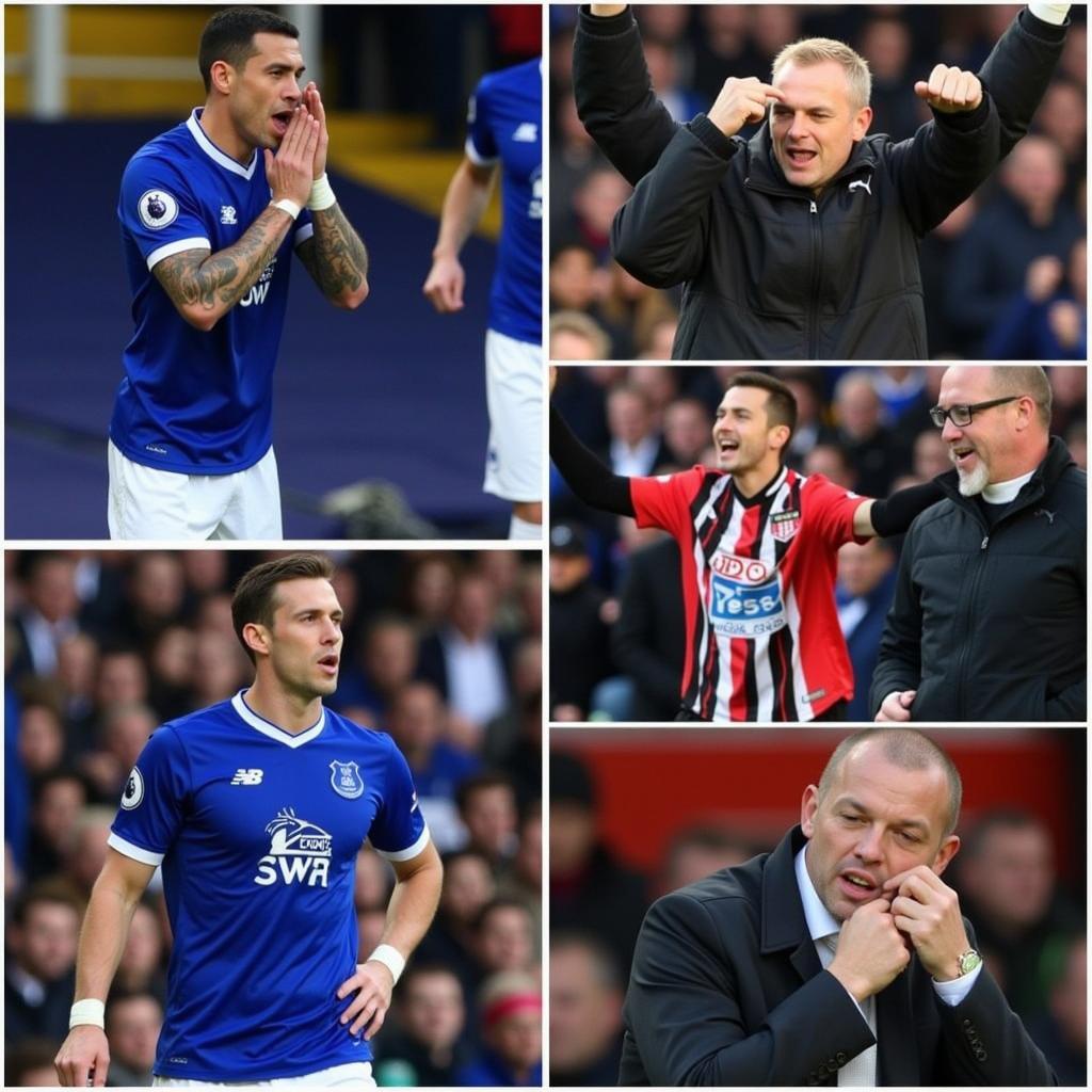 Everton and Southampton Fans Reactions