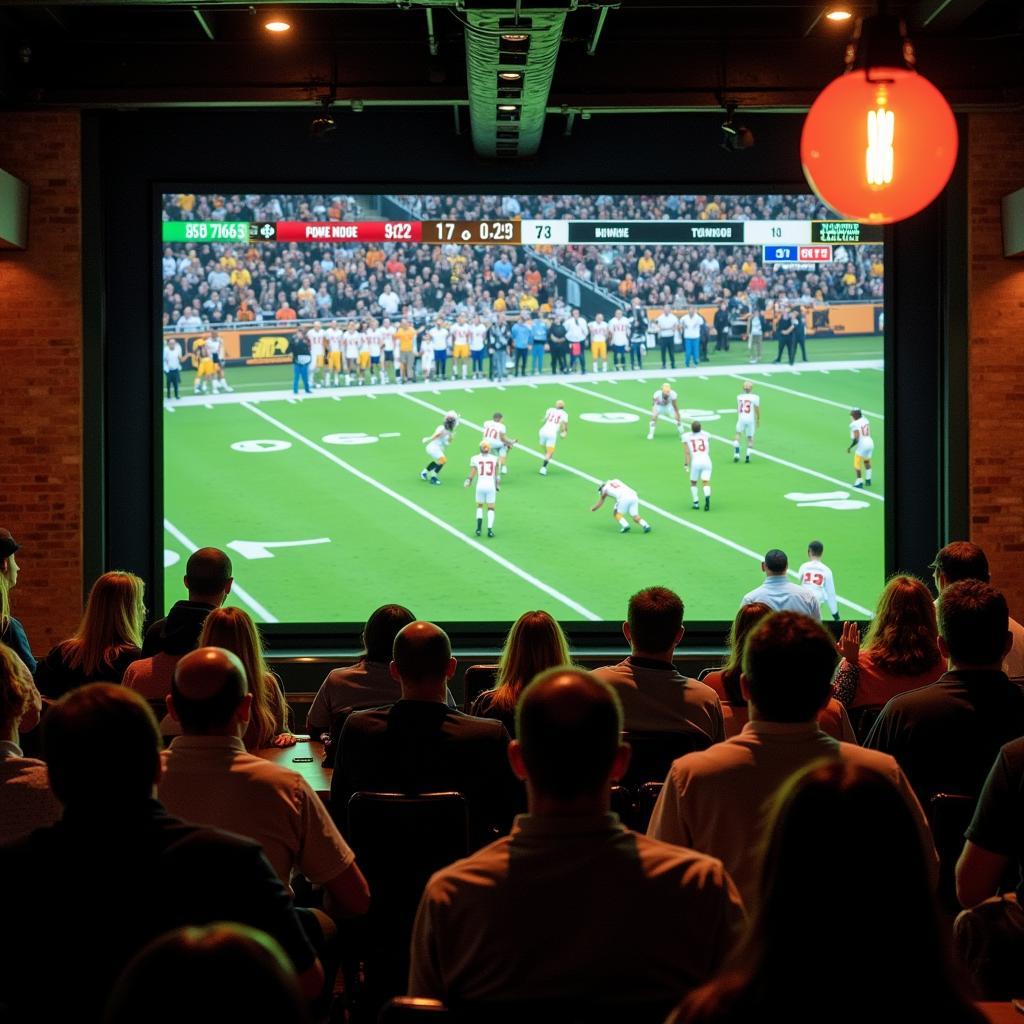 Fans Watching North Dakota State Bison Football Live