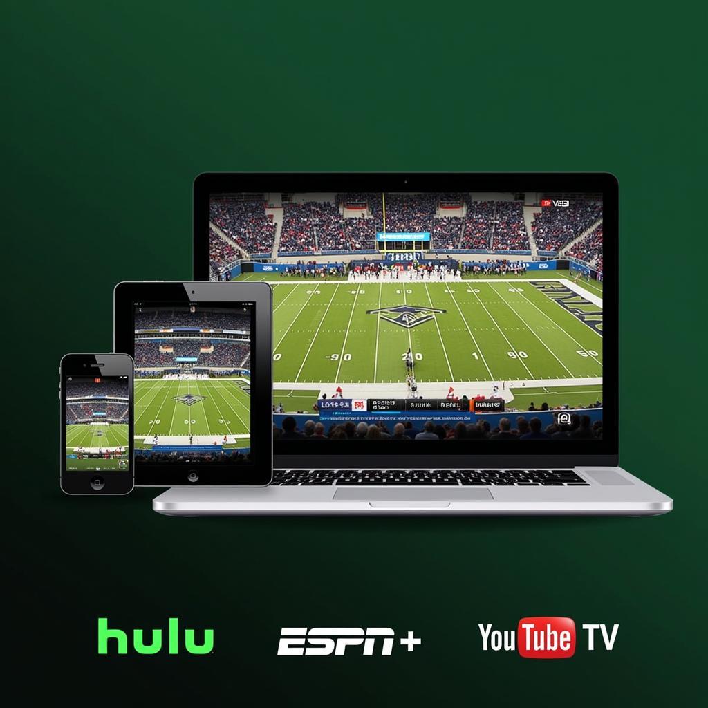 FAMU Football Live Stream Options