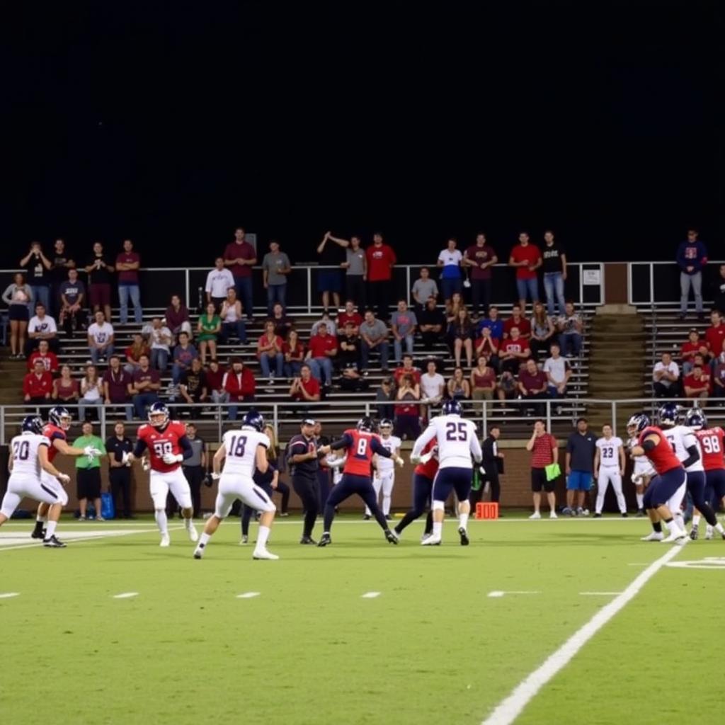 Flowery Branch High School Football Game Action