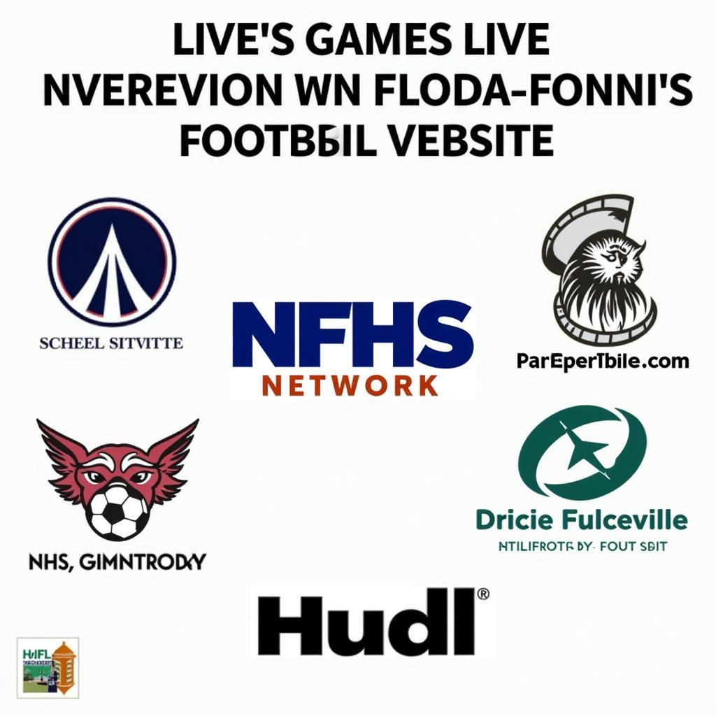 Fonda Fultonville Football Live Stream Options