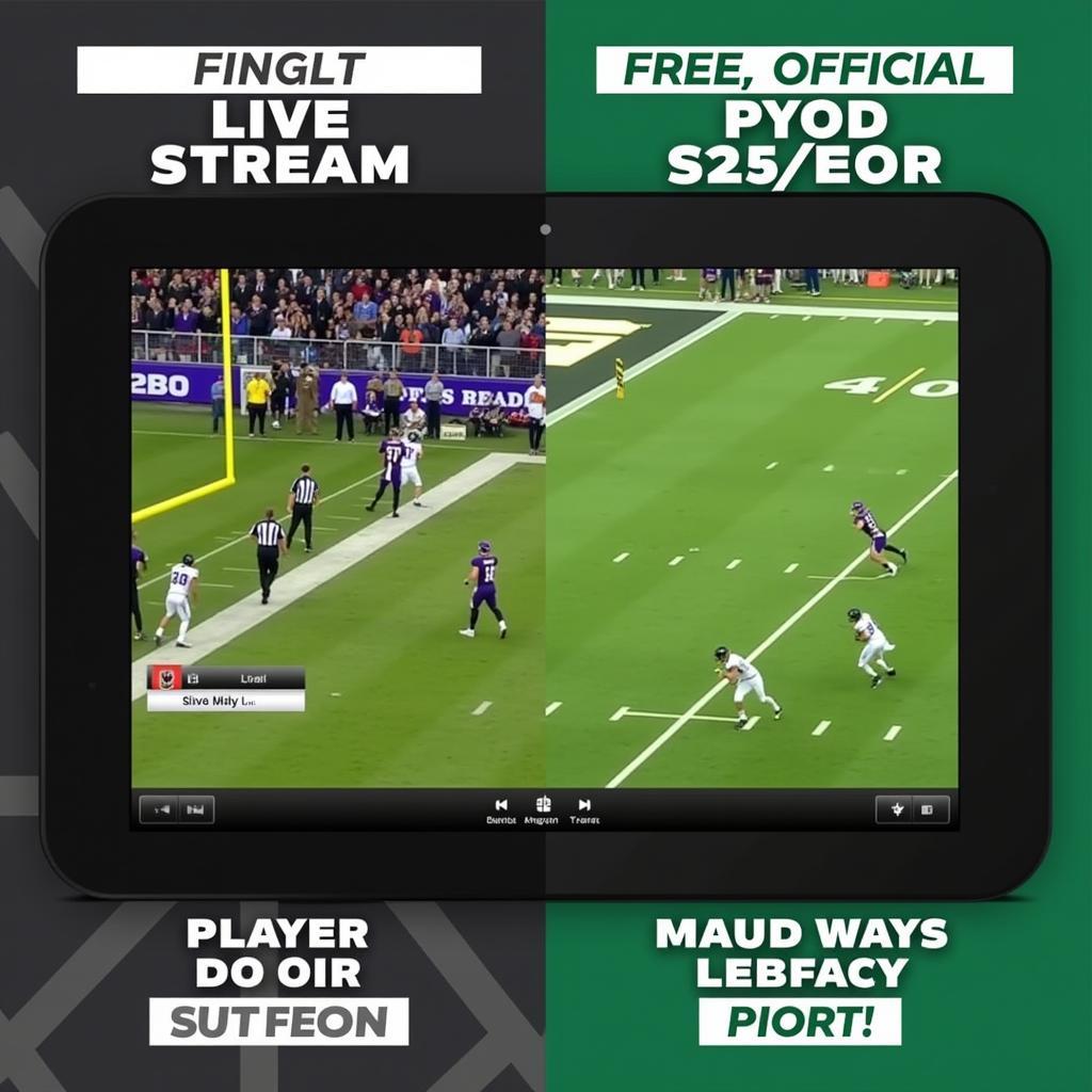 Free Baylor Football Live Video Streams: Risks and Benefits