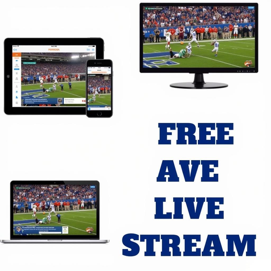 Find Free Live Streams for Florida Gators Football