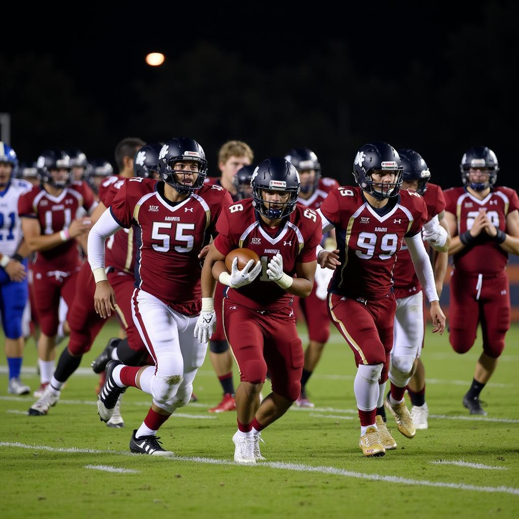 Freedom High School Football Team in Lehigh Valley