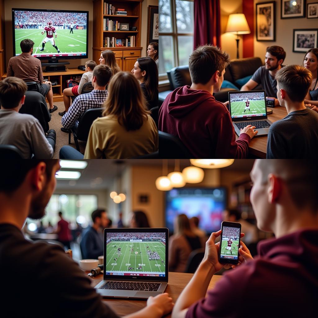 Gopher Football Fans Watching Live Stream