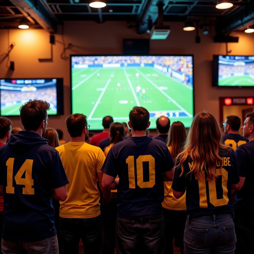 Michigan Football Fans Watching Game Live