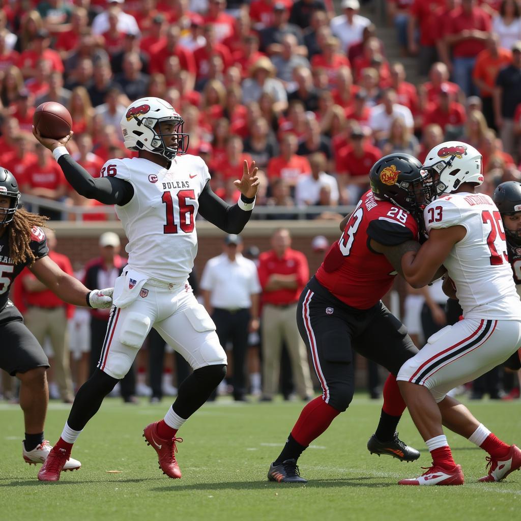 New Mexico Lobos Offense in Action