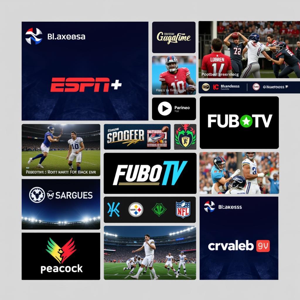 Paid Football Streaming Platforms