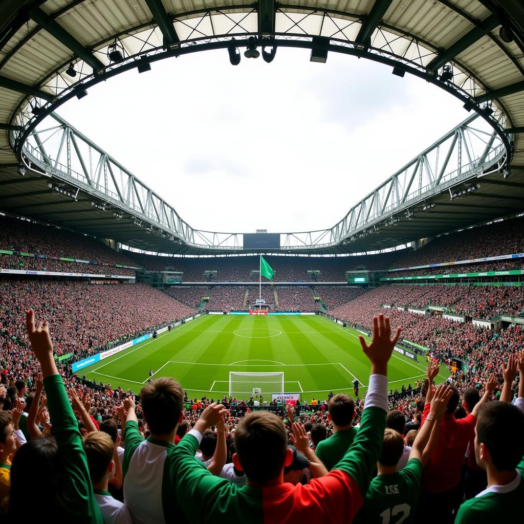 Passion of GAA Fans at Croke Park