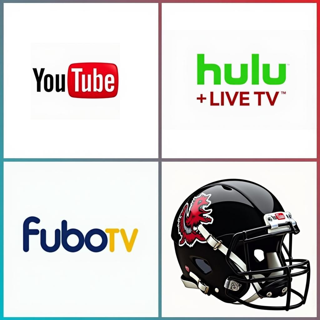 Streaming Platforms for Gamecock Football