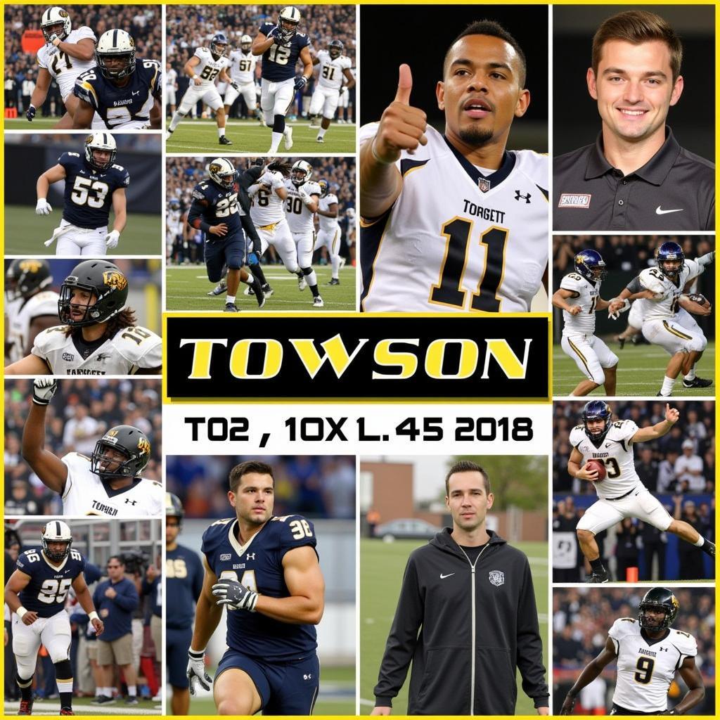 Towson Tigers Football 2018 Season Highlights