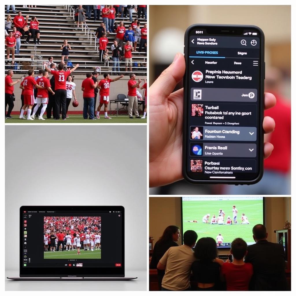 Various Ways to Experience Chapman Football Live