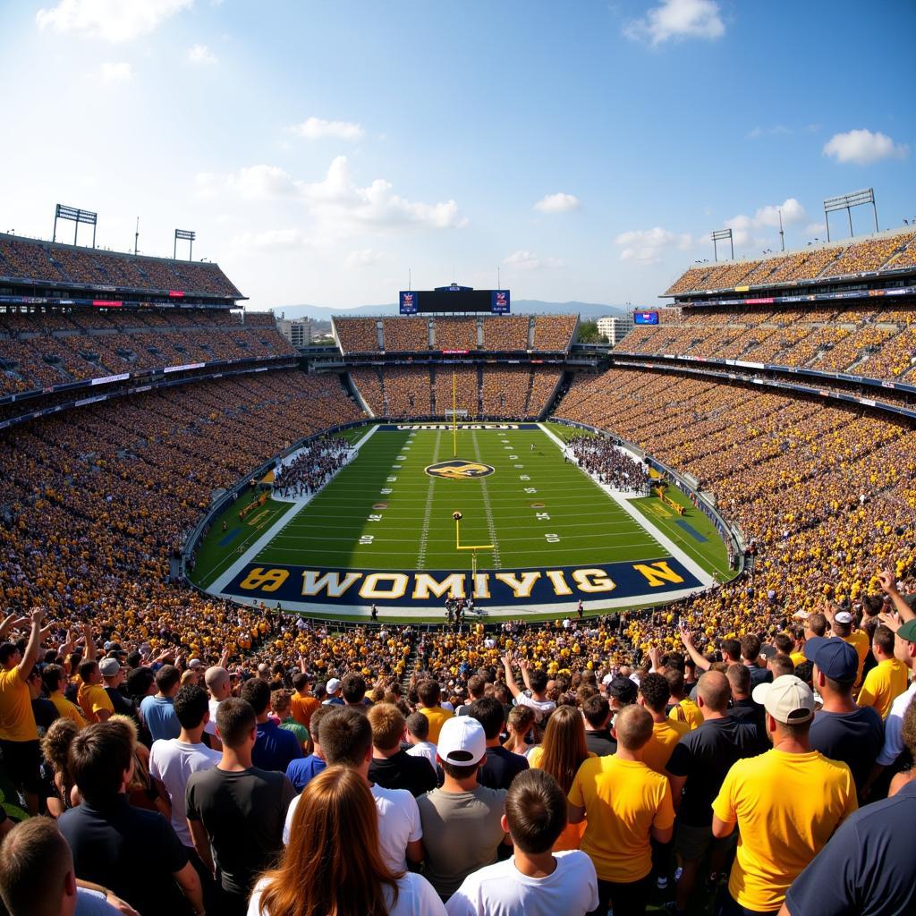 War Memorial Stadium: Home of the Wyoming Cowboys