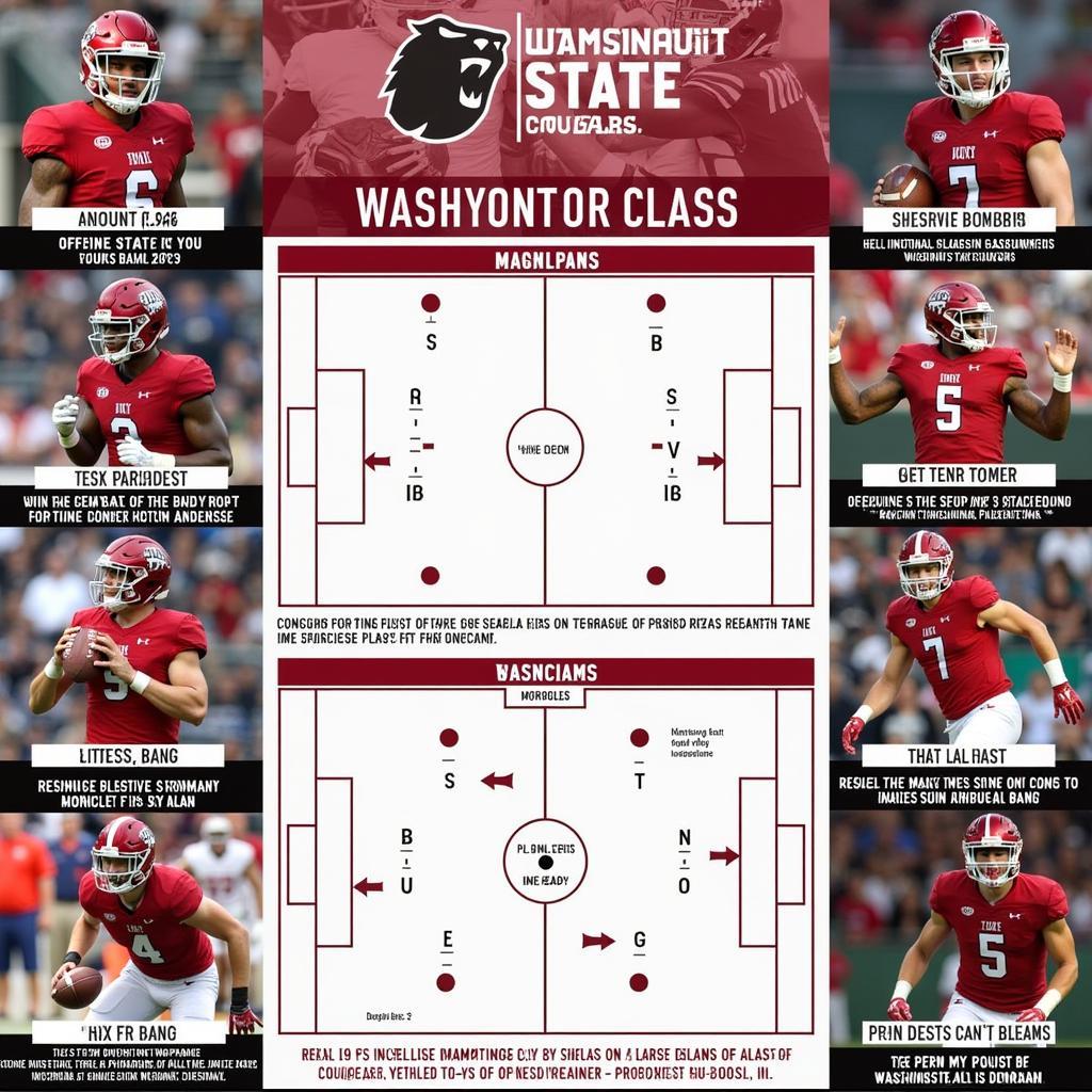 Washington State Cougars: Key Players and Strategies