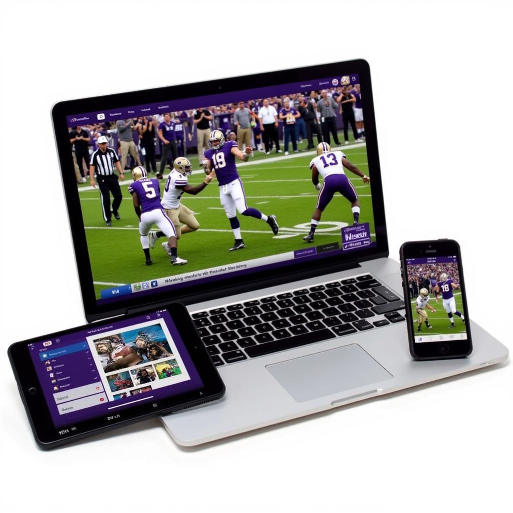 Watch Washington Husky Football Live Streaming Options