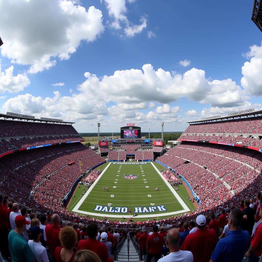 Crowd at the 2017 Hall of Fame Game in Canton, Ohio