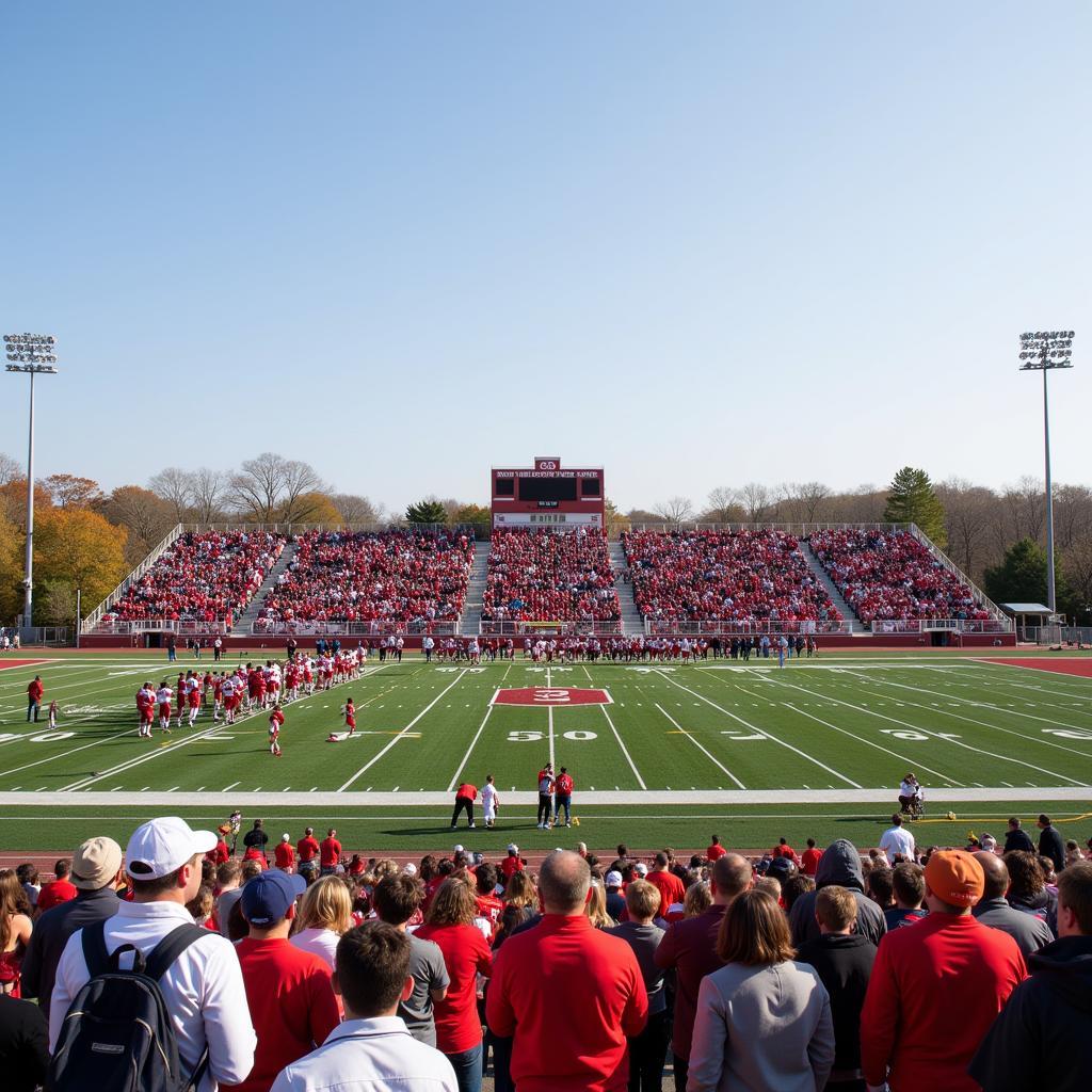 Belton High School Football Game in Action