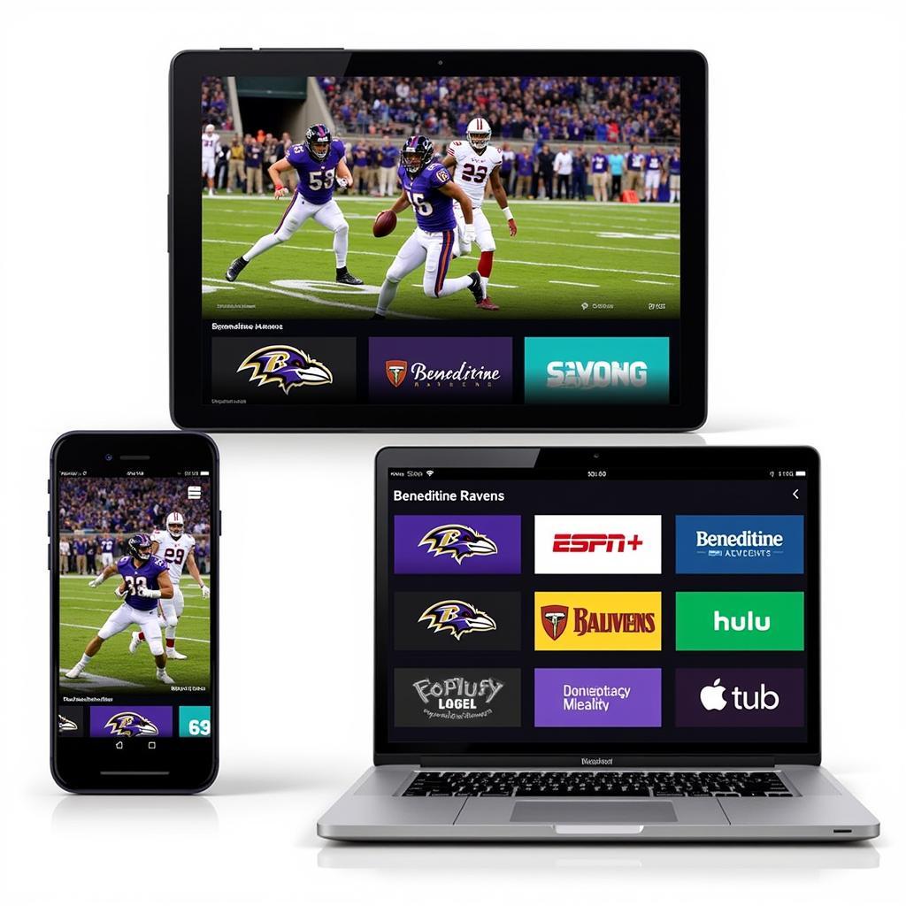 Benedictine Ravens Football Live Stream Options