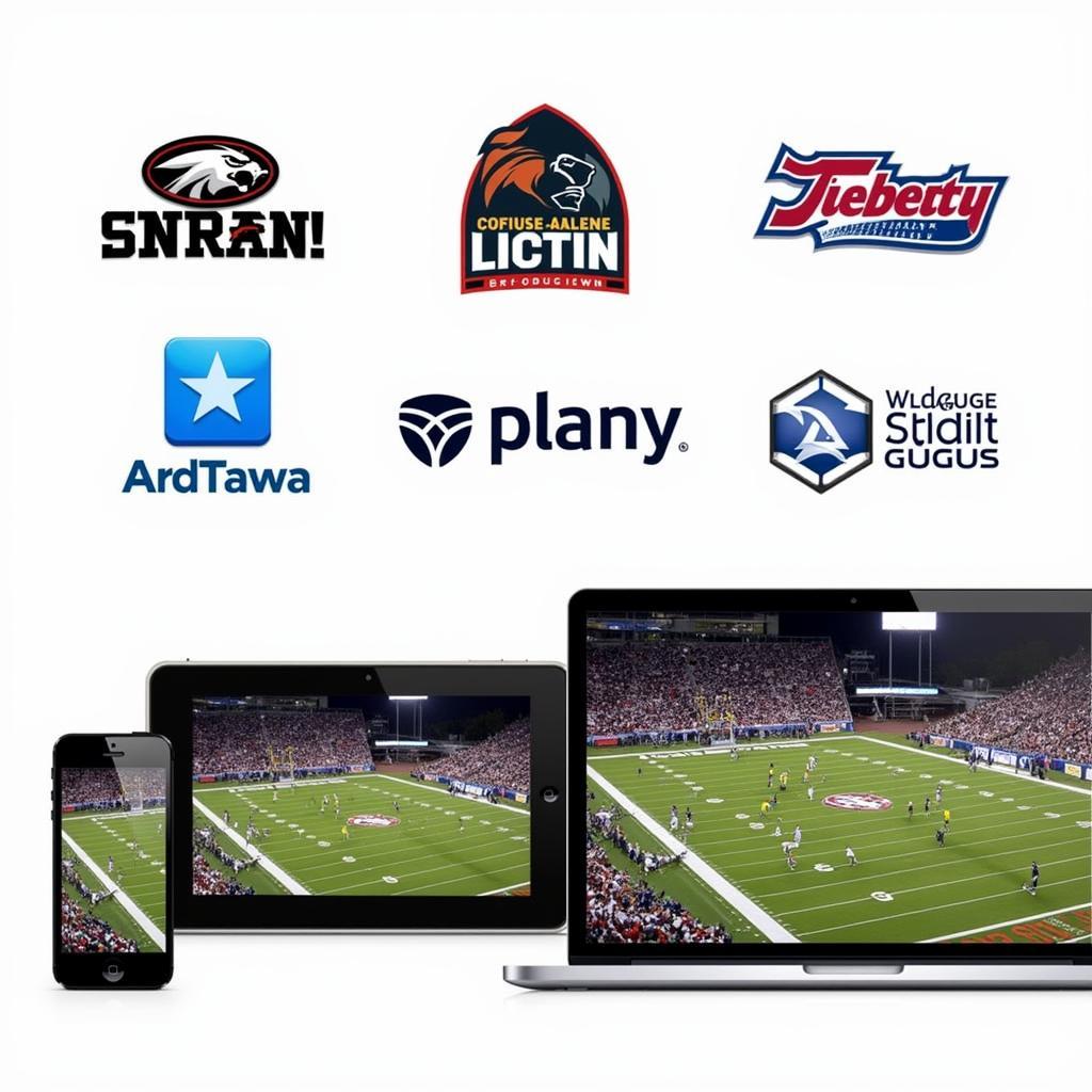 Coeur d'Alene High School Football Live Stream Options