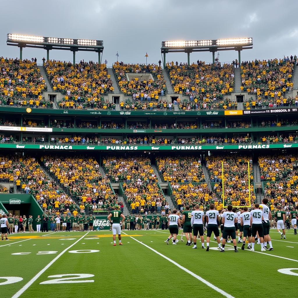 CSU Rams Football Stadium Atmosphere