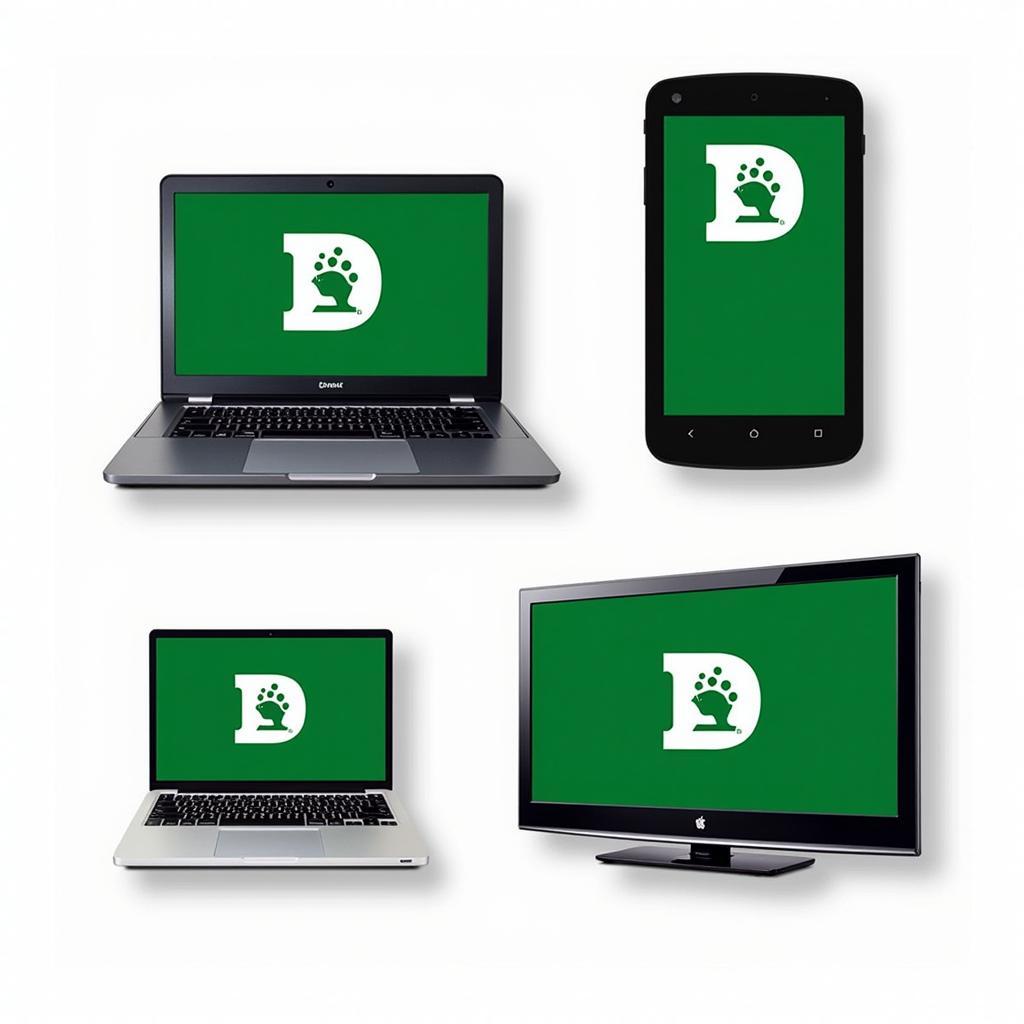 Dartmouth Football Live Stream on Different Devices