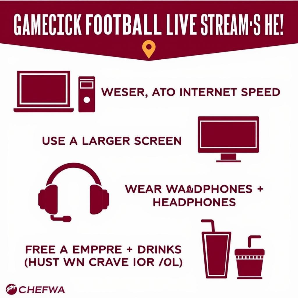 Enhance Your Gamecock Football Live Stream Experience