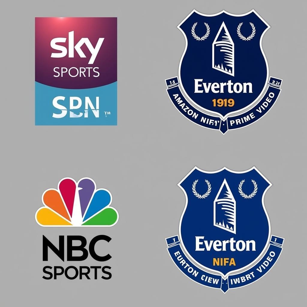 Everton Live TV Broadcasters