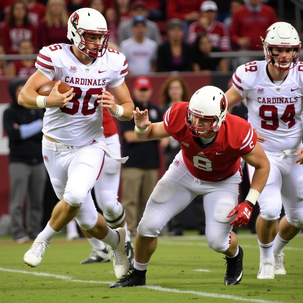 Fond du Lac Cardinals Football Action