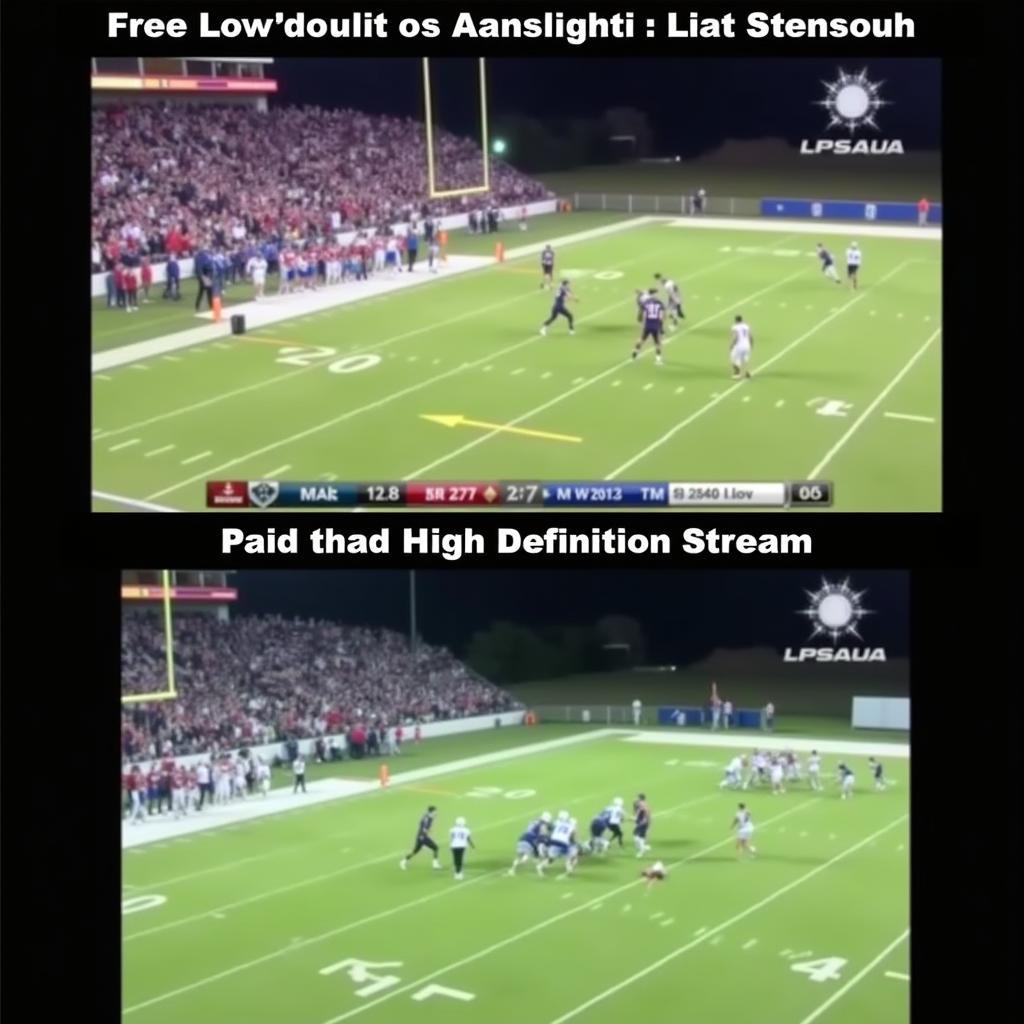 Free vs. Paid Metamora Football Live Streams