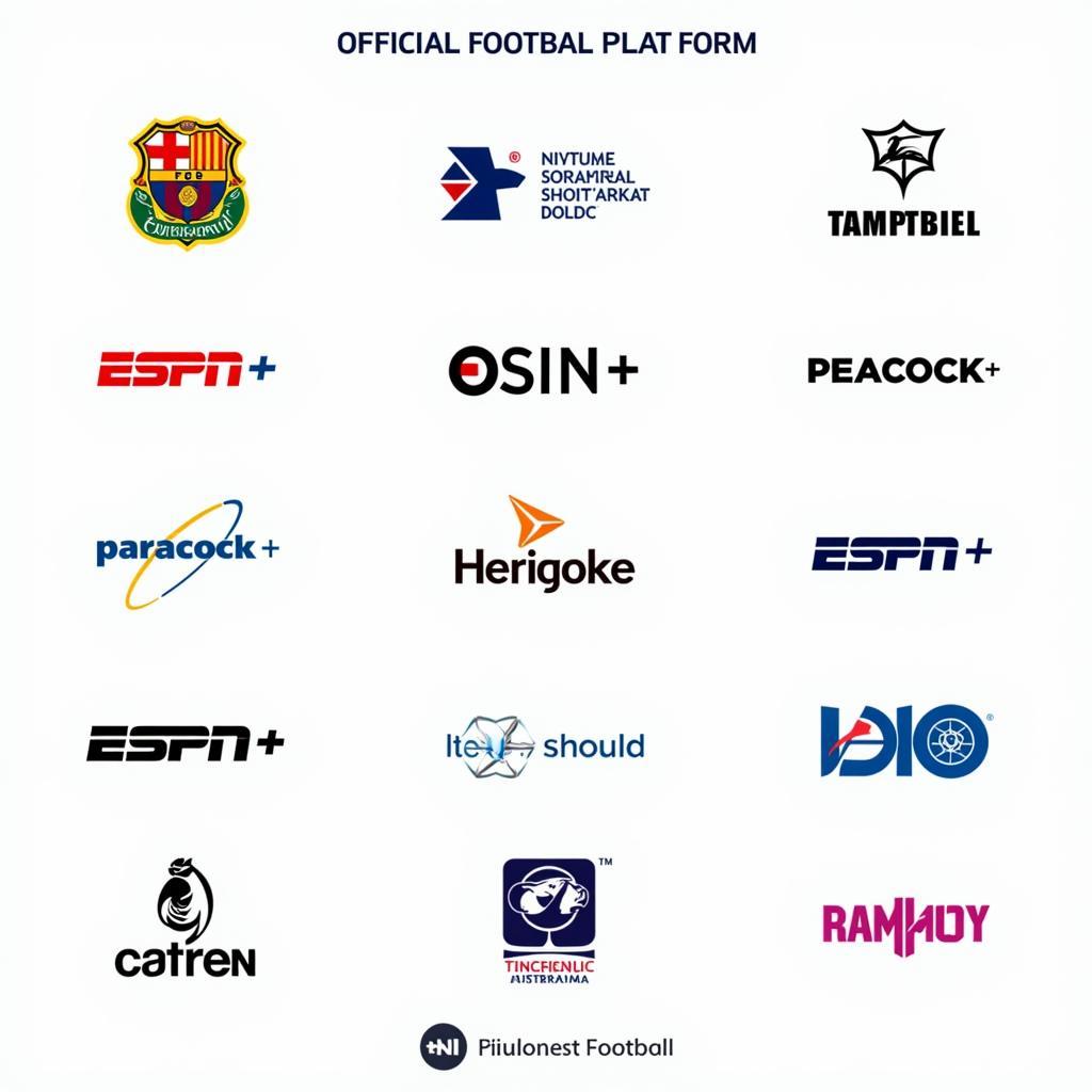 Official Football Streaming Platforms: A Reliable Alternative