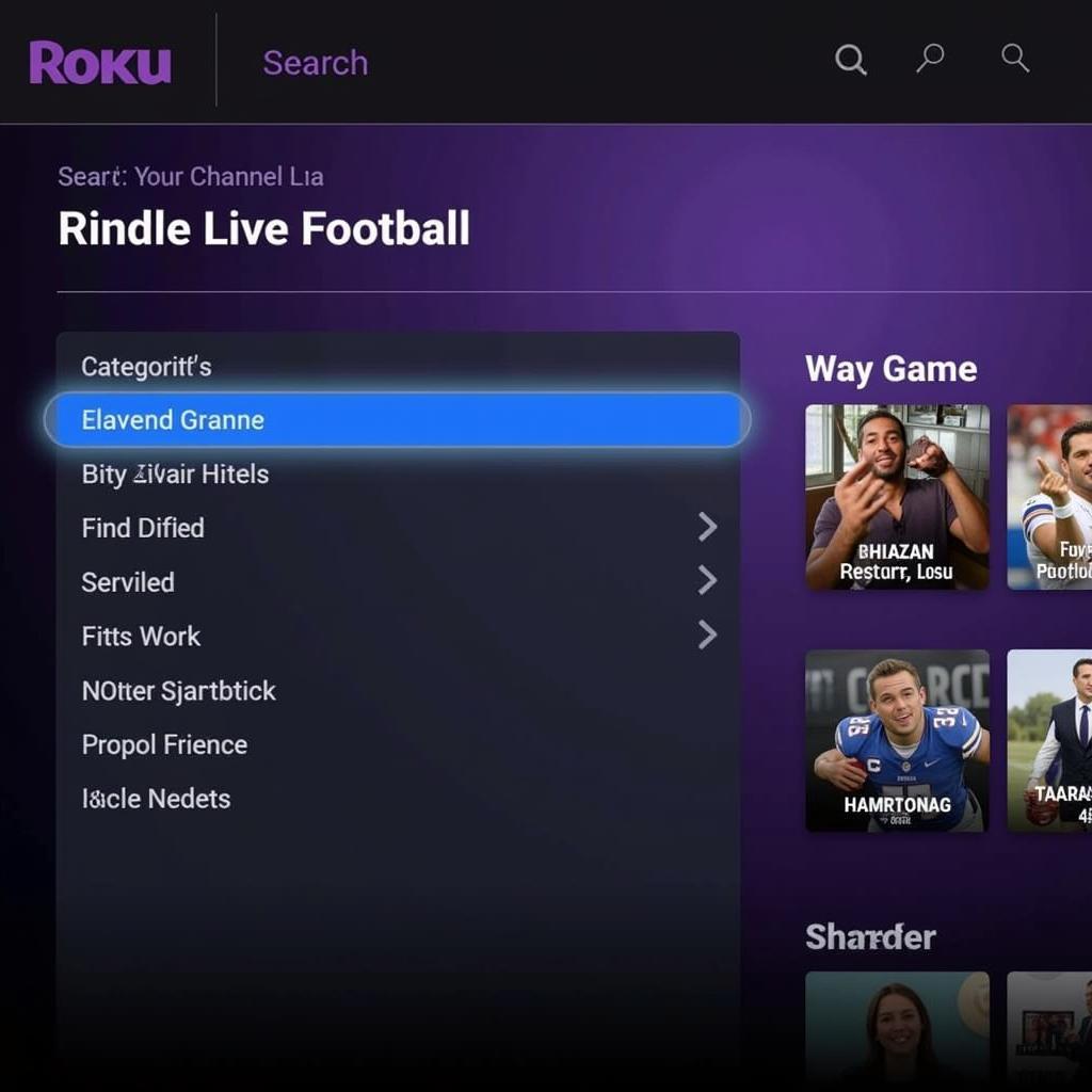 Navigating the Roku Channel Store