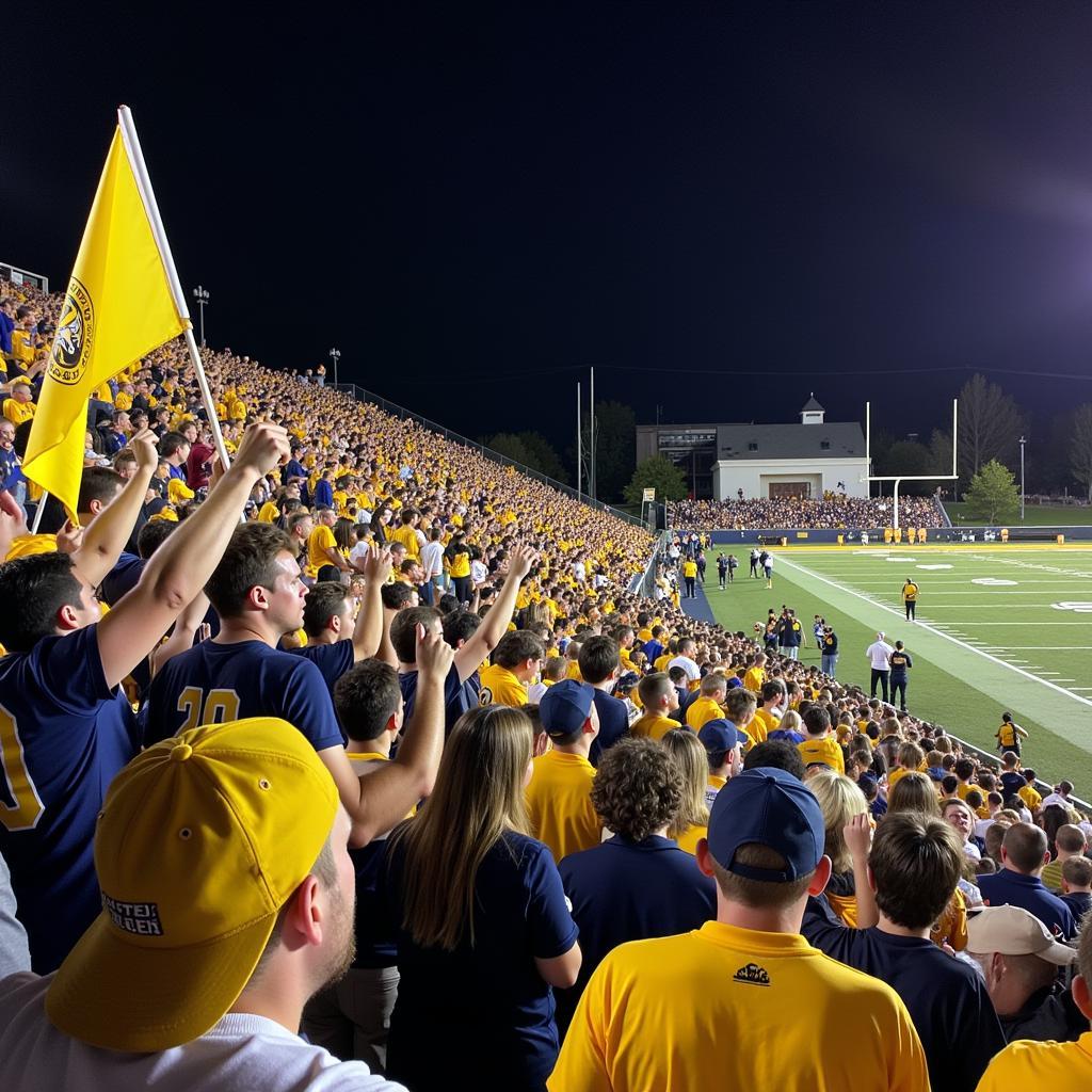 Southern Columbia Football Fans Cheering in the Stands