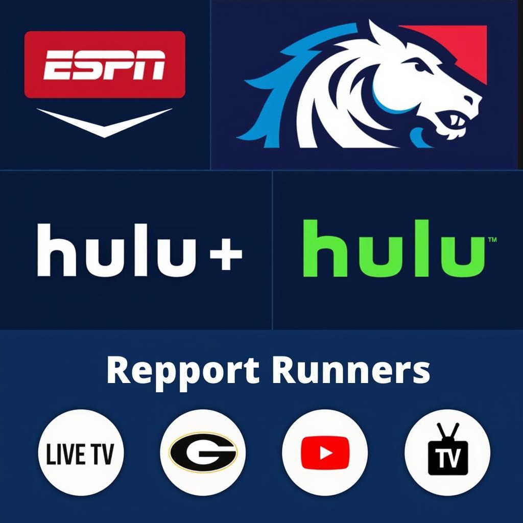 Various Sports Streaming Platforms for Grove Ridgerunners Games